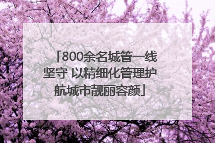 800余名城管一线坚守 以精细化管理护航城市靓丽容颜