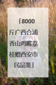 8000斤广西合浦香山鸡嘴荔枝赠西安市民品鉴