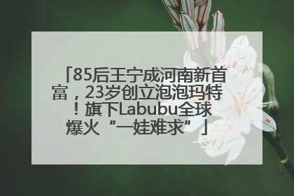 85后王宁成河南新首富，23岁创立泡泡玛特！旗下Labubu全球爆火“一娃难求”