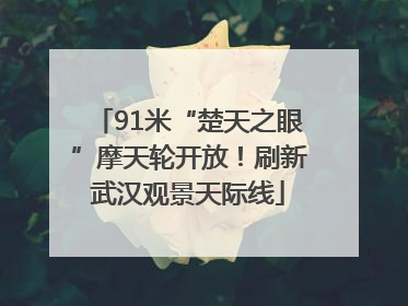 91米“楚天之眼”摩天轮开放！刷新武汉观景天际线